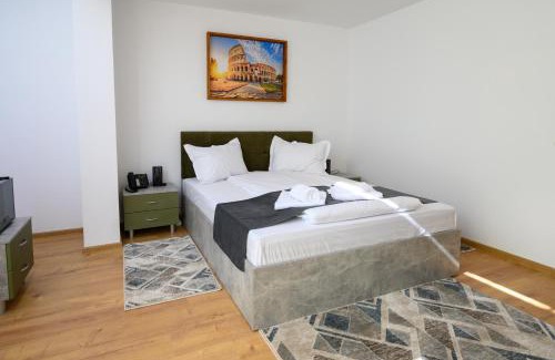 Bistrita Hotel | Casa EMA