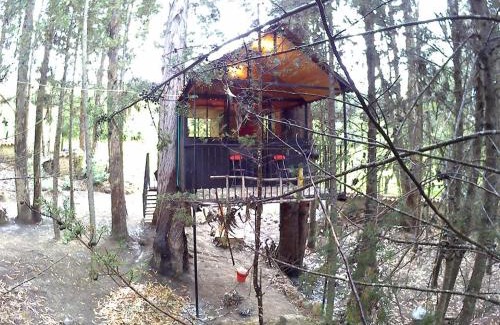 Pesca Casa | Casa En El Árbol Con Sauna somos PETFRIENDLY