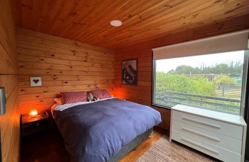 Pichilemu Apartamento | Casa en Lomas de Catrianca - Punta de Lobos