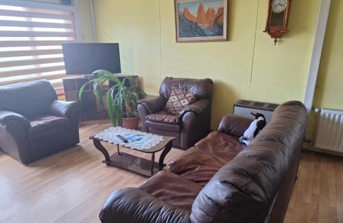 Punta Arenas Casa | Casa en Punta Arenas