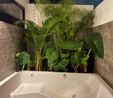 Rionegro Casa | Casa en reserva natural cerca del aeropuerto Medellín Rionegro