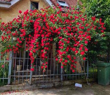 Old Town Villa | Casa Eni