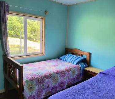 Lago Ranco Apartamento | Casa entré Fundos