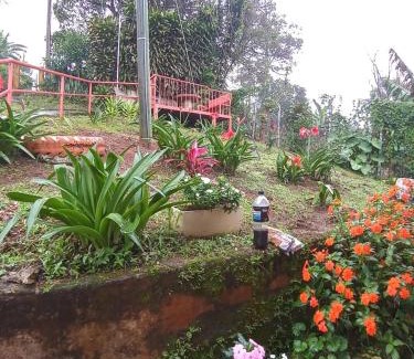 Cantón de Tarrazu Cabina | Casa entre la naturaleza