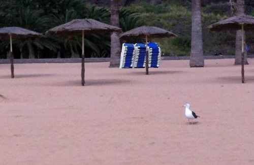 San Andres Casa | casa exclusiva al lado de la playa