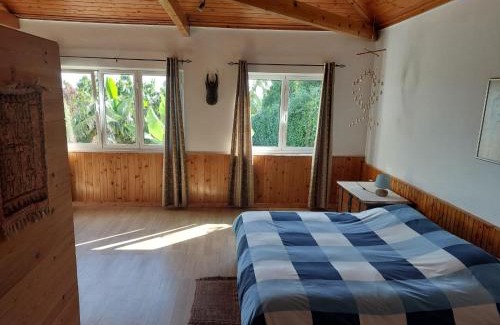 Flamengos Casa | Casa Farrobo