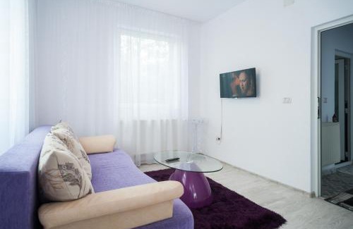 Viseu de Sus Apartamento | Casa Fermecata