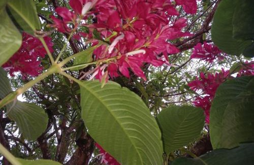 San Marcos Casa | Casa finca el Rosario