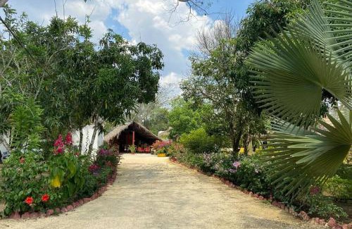 Arjona Casa | Casa Finca La Maquinaria