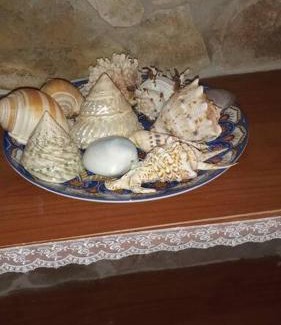 Rodi Garganico Casa | CASA FIORITA