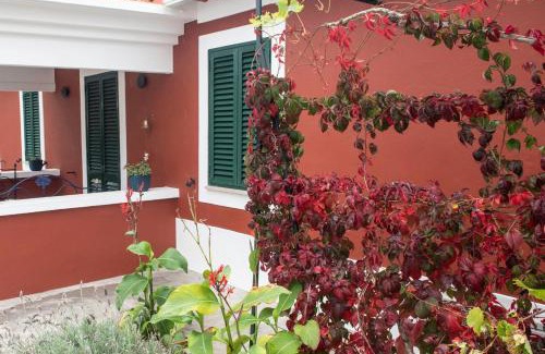 Foz do Arelho Casa | Casa Flamingo