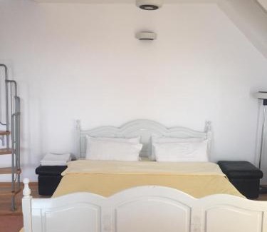 Tirgu Mures Apartamento | Casa Flavia