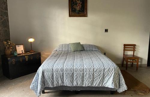 Mixquiahuala Casa | Casa Flora 32