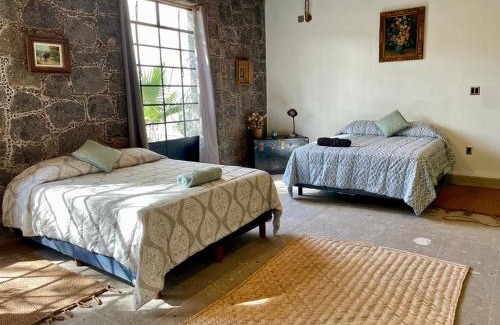 Mixquiahuala Casa | Casa Flora 32