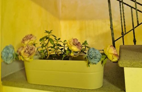 San Michele in Teverina Casa | Casa Flora