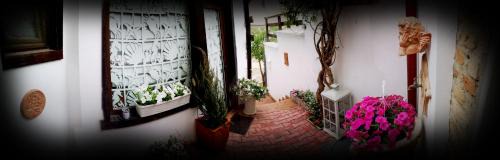 Old Town Casa | Casa Fotografului