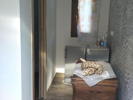 Asciano Pisano Casa | Casa Gaia