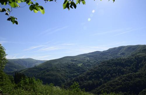 Monco Casa | Casa Gloria