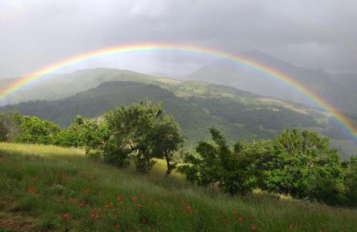 Monco Casa | Casa Gloria