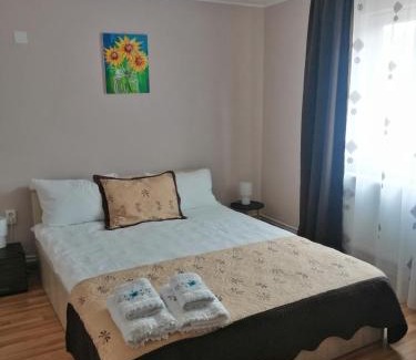 Neagra Sarului Casa | Casa Gramy