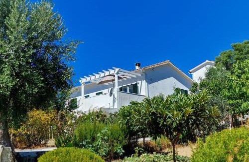 Vila de Rei Casa | Casa Grande Abrunheiro Grande