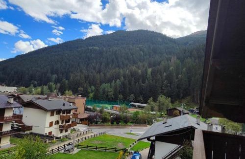 Isolaccia Apartamento | Casa Grazia