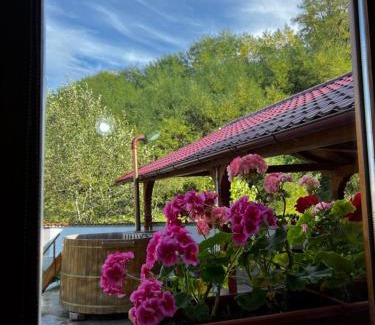 Ieud Casa | Casa Guriță
