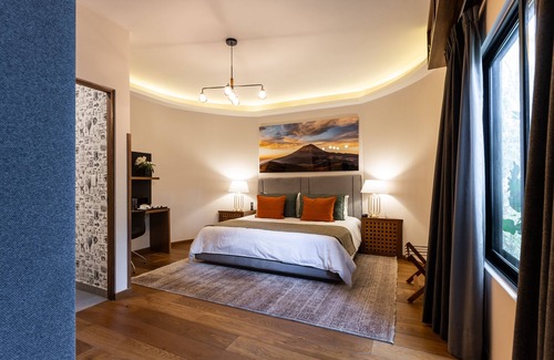 Miguel Hidalgo Hotel | Casa Hedera