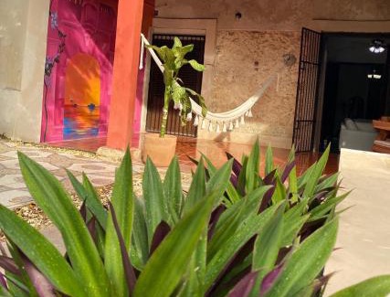 Campeche Casa | Casa Hortensia 213