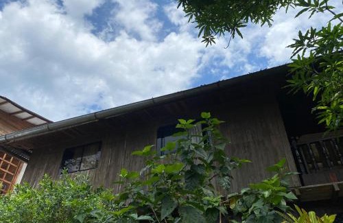 Tingo María Casa | Casa Hospedaje Tingomaria
