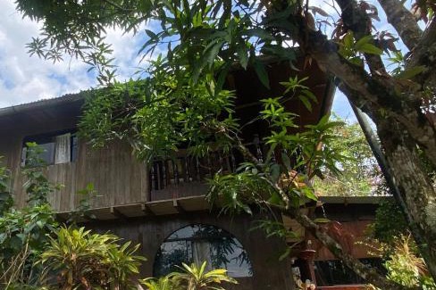 Tingo María Casa | Casa Hospedaje Tingomaria