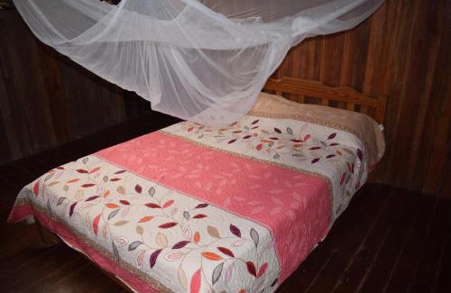 Tingo María Casa | Casa Hospedaje Tingomaria