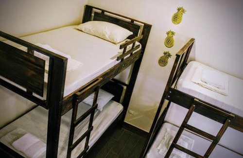 San José Hotel | Casa Hotel Sura