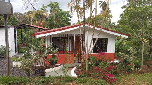 Daniel Flores Casa | Casa Hummingbird Peace & Nature