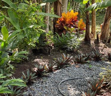 Daniel Flores Casa | Casa Hummingbird Peace & Nature