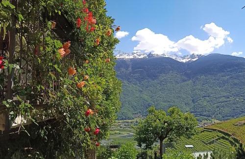Tresivio Apartamento | Casa il Glicine Valtellina