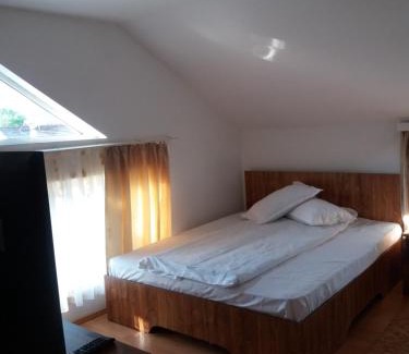 Gura Humorului Apartamento | Casa in Bucovina