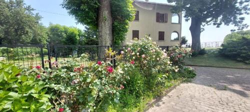 Andrate Apartamento | Casa in montagna con giardino privato recintato