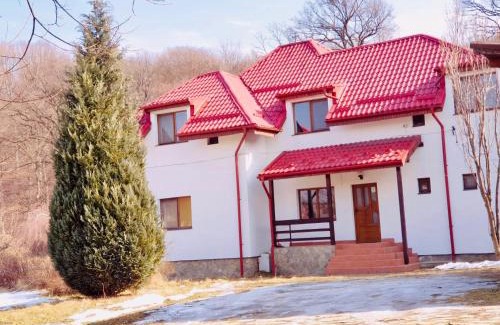Rasnov Villa | Casa Ina Rasnov