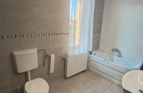 Cluj-Napoca Villa | Casa individuala in cartier Europa