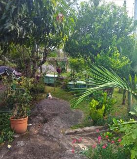 Forte Casa | Casa Inteira em Jurerê In e vista panorâmica