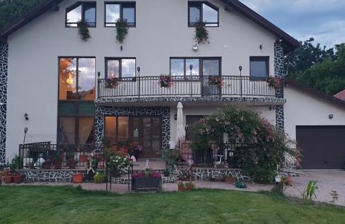 Horezu Casa | Casa Irina