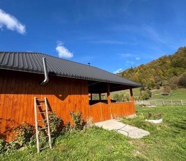 Gura Humorului Casa | Casa Irina