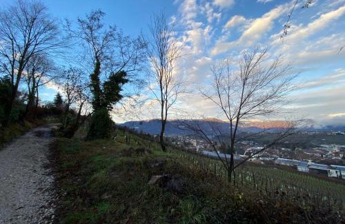 St. Michael/San Michele Apartamento | Casa Piganò