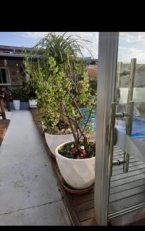 Chapada dos Guimaraes Casa | Casa JB