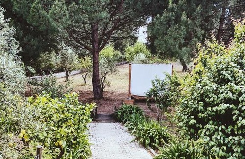 Tomar Casa | casa Jone