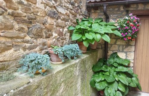 Torla Casa | Casa Julio