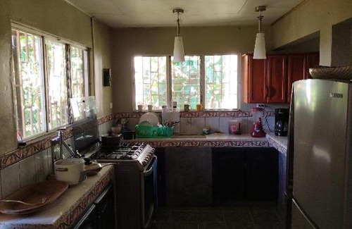 Daniel Flores Casa | Casa Jungla