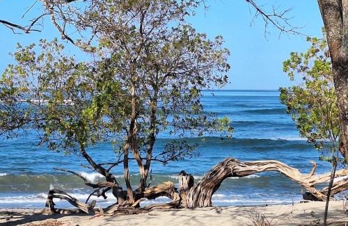 Los Pargos Apartamento | Casa Jungla Playa Avellanas