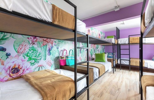 Colonia Cuauhtémoc Hotel | Casa Kanabri, Hostal Boutique en CDMX